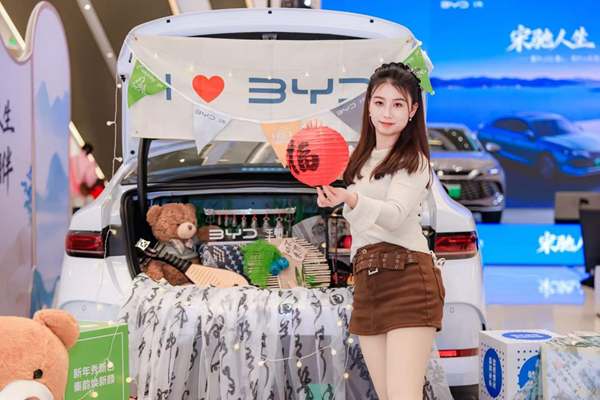 家·智新境界——王朝家庭智电生活全面进化